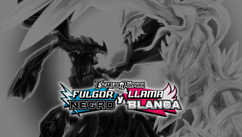 Fulgor-Negro-Llama-Blanca-logo-banner
